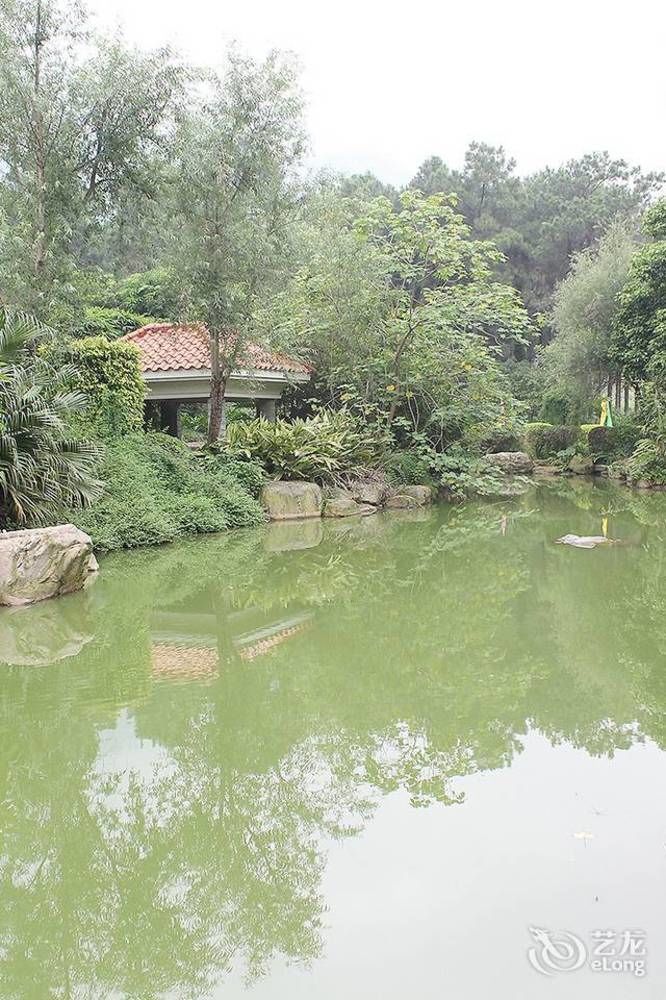 Grace Garden Hotel Qingyuan  Buitenkant foto